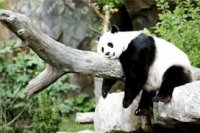 d2acd8442 200x133 Карта сайта