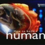Discovery. Как построить человека (How to Build a Human) 4 серии