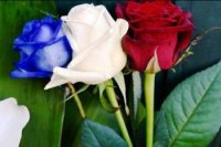 d37875c10 200x133 Карта сайта