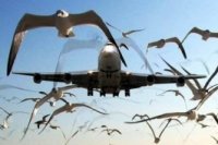 d5f759545 200x133 Карта сайта