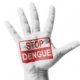 Число заразившихся денге на Пхукете утроилось