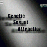 Генетическое сексуальное влечение (Genetic Sexual Attraction)