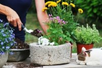 efa554b3c 200x133 Карта сайта