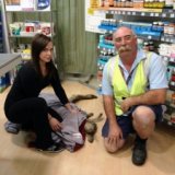 Травмированный кенгуру искал аптеку в аэропорту Мельбурна