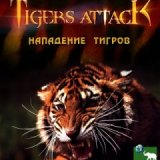 Discovery. Тигры атакуют (Tigers Attack)