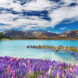Самое живописное озеро Новой Зеландии