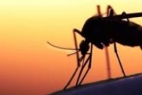 f923d14dc 200x133 Карта сайта