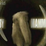 Discovery. Крошка-Мамонтенок (Baby-Mammoth)