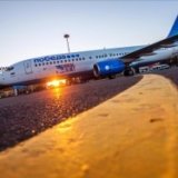 «Победа» требует 1 млн рублей от аэропорта из-за птицы
