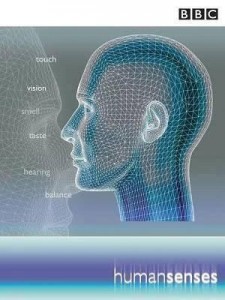 bbc human senses 225x300 BBC. Чувства человека (Human Senses) 3 Серии