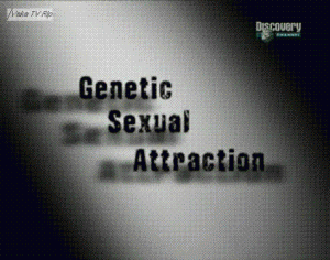 discoverysexual attraction 300x236 Генетическое сексуальное влечение (Genetic Sexual Attraction)