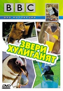 bbc animals behaving badly 209x300 ВВС. Звери хулиганят (Animals Behaving Badly)