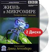 bbclife in the undergrowth BBC. Жизнь в микромире (BBC. Life in the Undergrowth) 5 серий