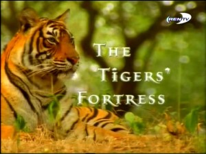 bbcthe tigers fortress 300x225 BBC. Страна тигров (The Tigers Fortress)