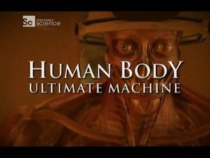Наше тело - уникальная машина (Human Body - Ultimate Machine) discoveryhuman body 300x225 Discovery. Наше тело уникальная машина (Human Body Ultimate Machine) 4 серии