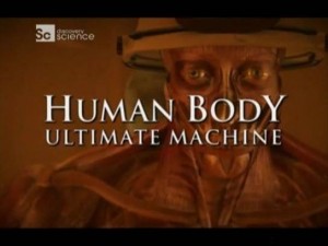 discoveryhuman body 300x225 Discovery. Наше тело   уникальная машина (Human Body   Ultimate Machine) 4 серии