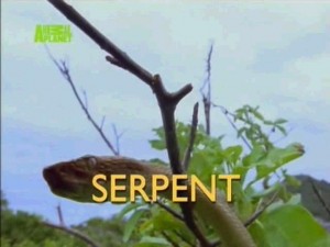 serpent 300x225 Змеи (Serpent)