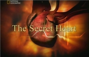 the secret heart The Secret Heart. Pumped   Секреты нашего сердца   Неутомимый насос