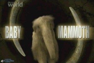 discoverybaby mammoth 300x202 Discovery. Крошка Мамонтенок (Baby Mammoth)
