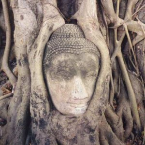 buddha sayuti 300x300 Аюттхая   древняя столица Сиама